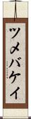 ツメバケイ Scroll