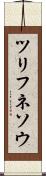 ツリフネソウ Scroll