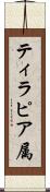 ティラピア属 Scroll