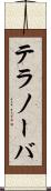 テラノーバ Scroll