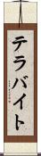 テラバイト Scroll