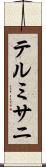 テルミサニ Scroll