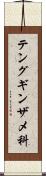 テングギンザメ科 Scroll