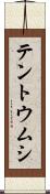 テントウムシ Scroll