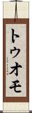 トゥオモ Scroll