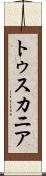 トゥスカニア Scroll