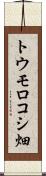 トウモロコシ畑 Scroll