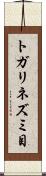 トガリネズミ目 Scroll
