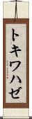 トキワハゼ Scroll