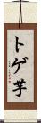 トゲ芋 Scroll