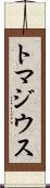 トマジウス Scroll