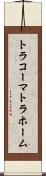トラコーマ Scroll