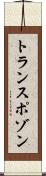 トランスポゾン Scroll