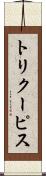 トリクーピス Scroll