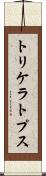 トリケラトプス Scroll