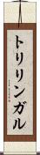 トリリンガル Scroll