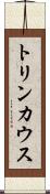 トリンカウス Scroll