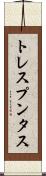トレスプンタス Scroll