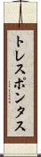 トレスポンタス Scroll