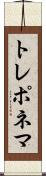 トレポネマ Scroll