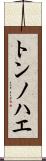 トンノハエ Scroll