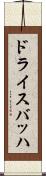 ドライスバッハ Scroll