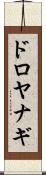 ドロヤナギ Scroll