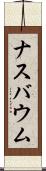 ナスバウム Scroll