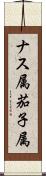 ナス属 Scroll