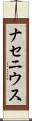 ナセニウス Scroll