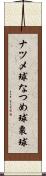 ナツメ球 Scroll