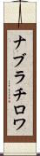 ナブラチロワ Scroll