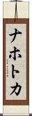 ナホトカ Scroll