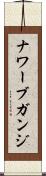 ナワーブガンジ Scroll