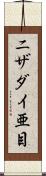 ニザダイ亜目 Scroll