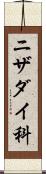ニザダイ科 Scroll