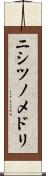 ニシツノメドリ Scroll