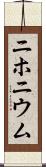 ニホニウム Scroll