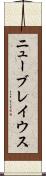 ニューブレイウス Scroll