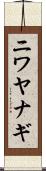 ニワヤナギ Scroll