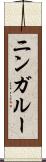 ニンガルー Scroll