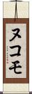 ヌコモ Scroll
