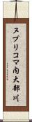 ヌプリコマ内大部川 Scroll