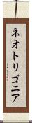 ネオトリゴニア Scroll