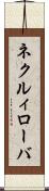 ネクルィローバ Scroll