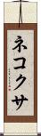 ネコクサ Scroll