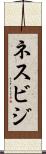 ネスビジ Scroll
