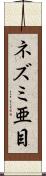 ネズミ亜目 Scroll