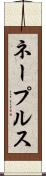 ネープルス Scroll
