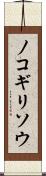 ノコギリソウ Scroll